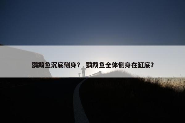 鹦鹉鱼沉底侧身？ 鹦鹉鱼全体侧身在缸底？