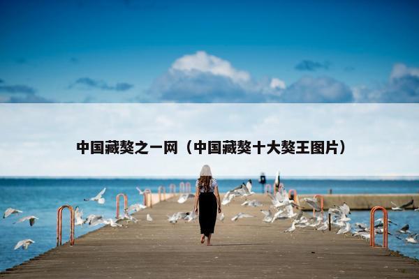 中国藏獒之一网（中国藏獒十大獒王图片）