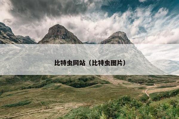 比特虫网站（比特虫图片）