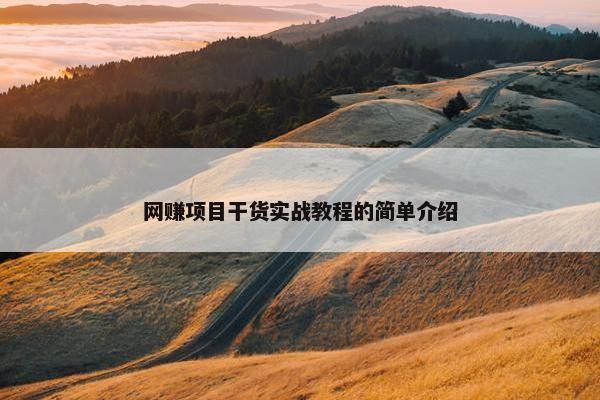 网赚项目干货实战教程的简单介绍