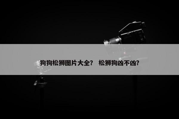 狗狗松狮图片大全？ 松狮狗凶不凶？