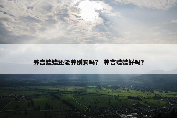养吉娃娃还能养别狗吗？ 养吉娃娃好吗？