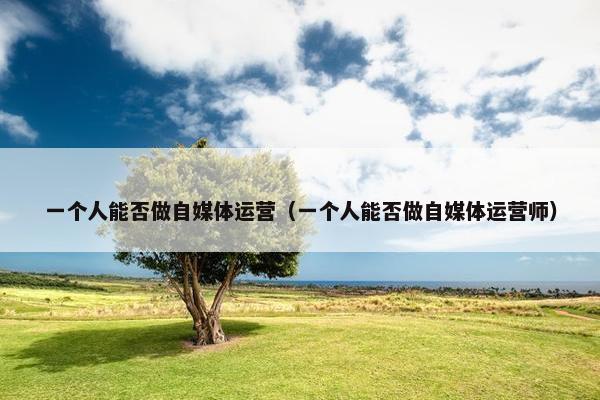 一个人能否做自媒体运营（一个人能否做自媒体运营师）