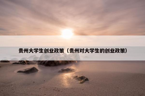贵州大学生创业政策（贵州对大学生的创业政策）