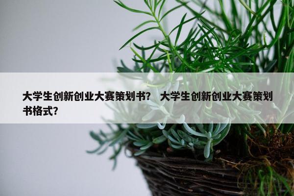 大学生创新创业大赛策划书？ 大学生创新创业大赛策划书格式？