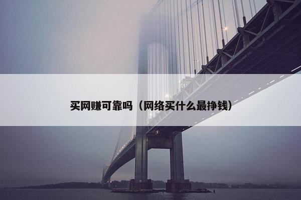 买网赚可靠吗（网络买什么最挣钱）