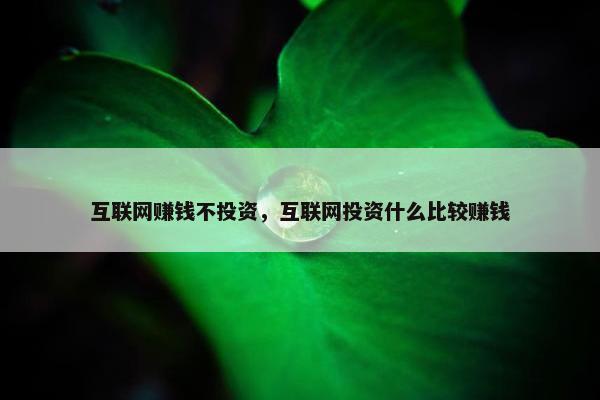 互联网赚钱不投资，互联网投资什么比较赚钱
