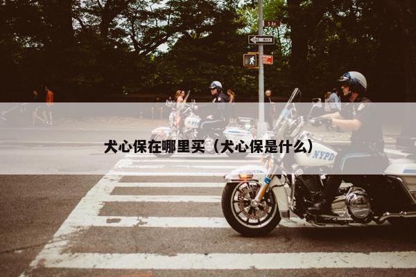 犬心保在哪里买（犬心保是什么）