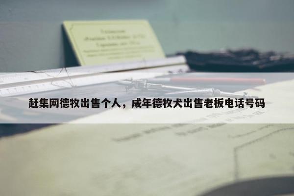 赶集网德牧出售个人，成年德牧犬出售老板电话号码