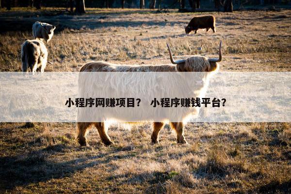 小程序网赚项目？ 小程序赚钱平台？