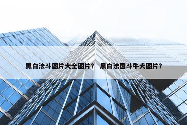黑白法斗图片大全图片？ 黑白法国斗牛犬图片？