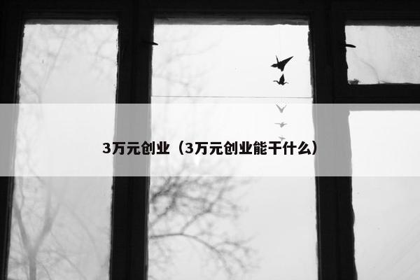 3万元创业（3万元创业能干什么）