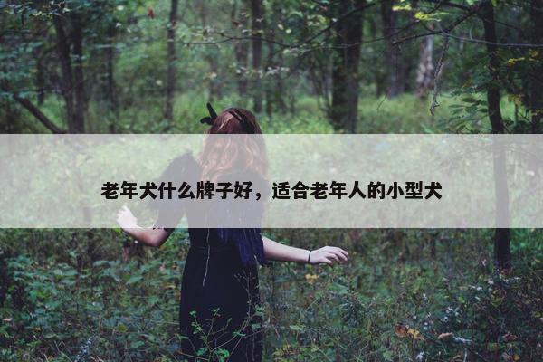 老年犬什么牌子好，适合老年人的小型犬