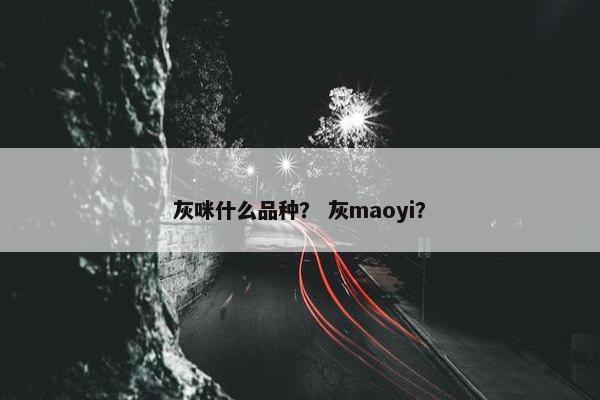 灰咪什么品种？ 灰maoyi？