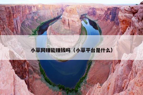 小草网赚能赚钱吗（小草平台是什么）