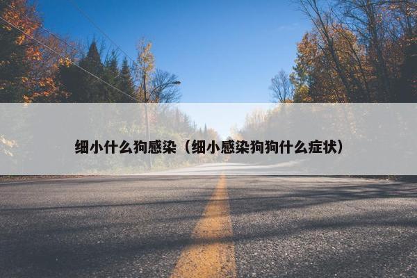 细小什么狗感染（细小感染狗狗什么症状）