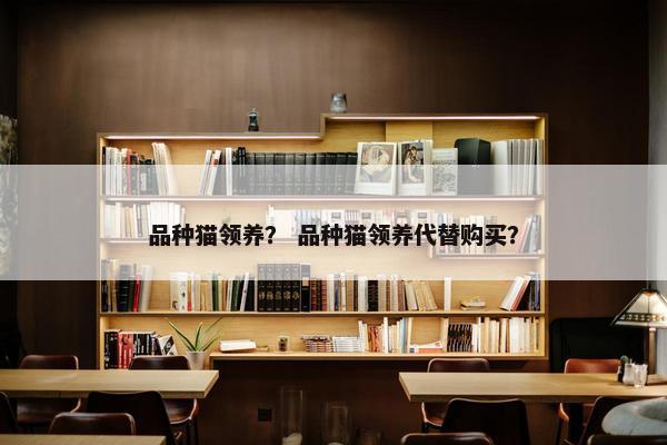 品种猫领养？ 品种猫领养代替购买？