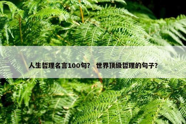 人生哲理名言100句？ 世界顶级哲理的句子？