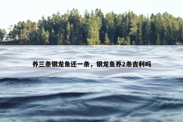 养三条银龙鱼还一条，银龙鱼养2条吉利吗