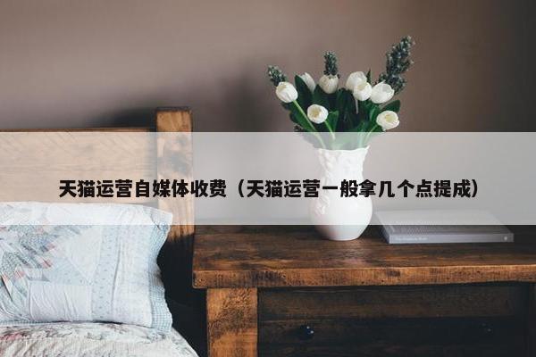 天猫运营自媒体收费（天猫运营一般拿几个点提成）