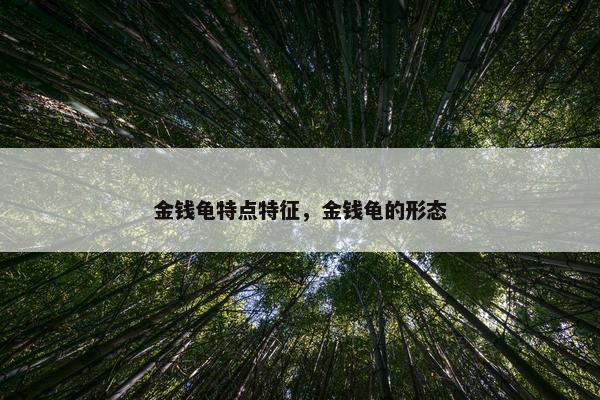 金钱龟特点特征，金钱龟的形态