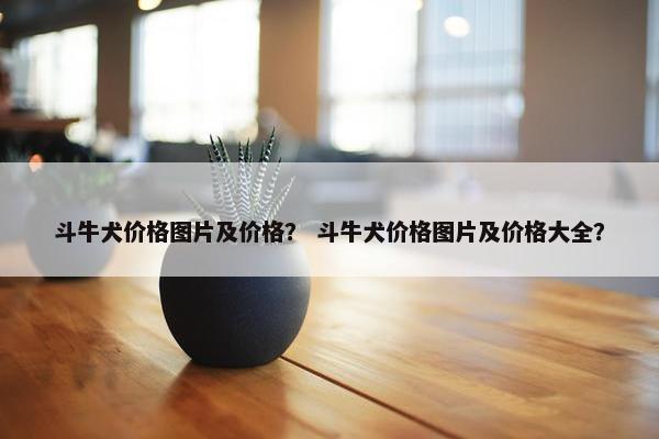 斗牛犬价格图片及价格？ 斗牛犬价格图片及价格大全？