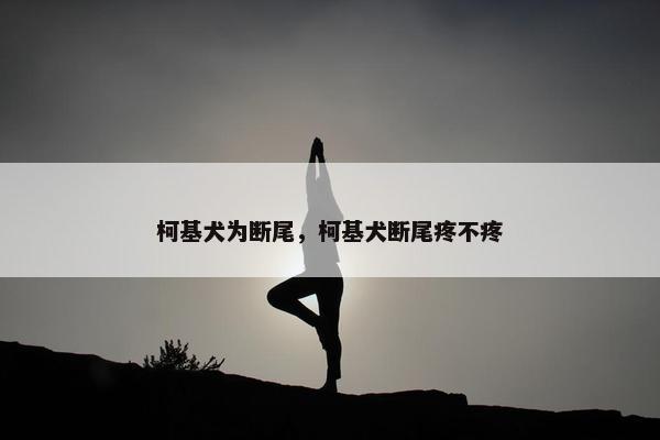 柯基犬为断尾，柯基犬断尾疼不疼