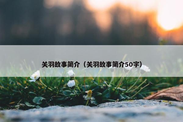 关羽故事简介（关羽故事简介50字）