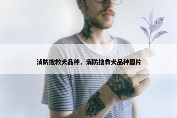消防搜救犬品种，消防搜救犬品种图片