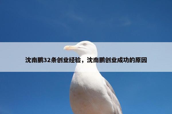 沈南鹏32条创业经验，沈南鹏创业成功的原因