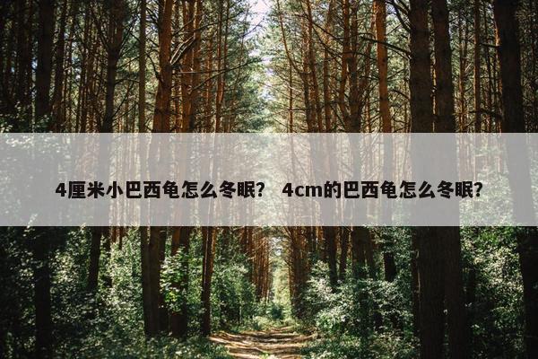 4厘米小巴西龟怎么冬眠？ 4cm的巴西龟怎么冬眠？