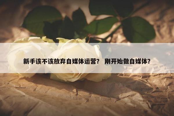 新手该不该放弃自媒体运营？ 刚开始做自媒体？