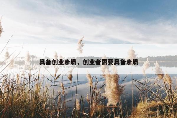 具备创业素质，创业者需要具备素质