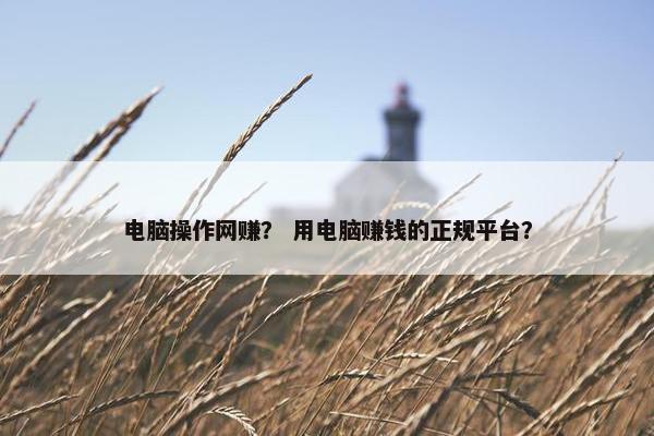 电脑操作网赚？ 用电脑赚钱的正规平台？