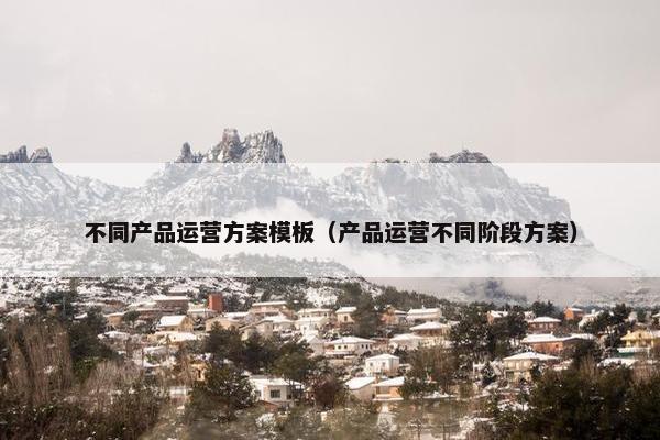 不同产品运营方案模板（产品运营不同阶段方案）