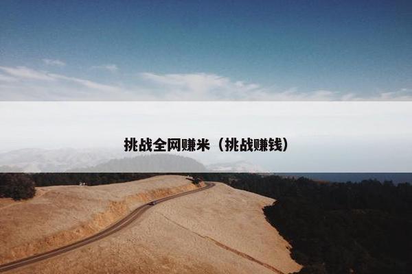 挑战全网赚米（挑战赚钱）