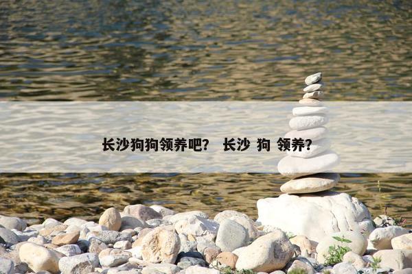 长沙狗狗领养吧？ 长沙 狗 领养？
