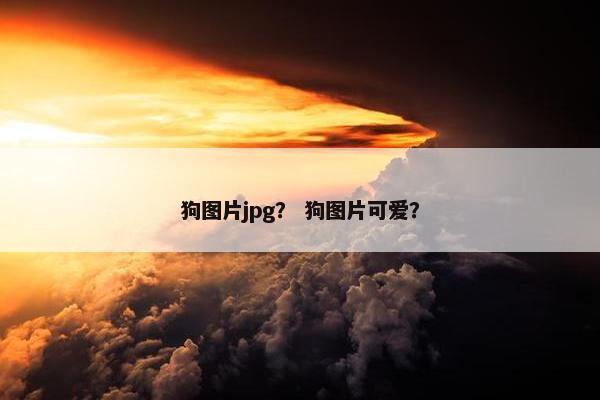狗图片jpg？ 狗图片可爱？