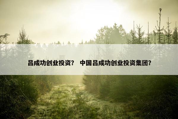吕成功创业投资？ 中国吕成功创业投资集团？