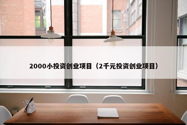 2000小投资创业项目（2千元投资创业项目）