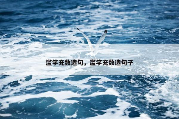 滥竽充数造句，滥竽充数造句子