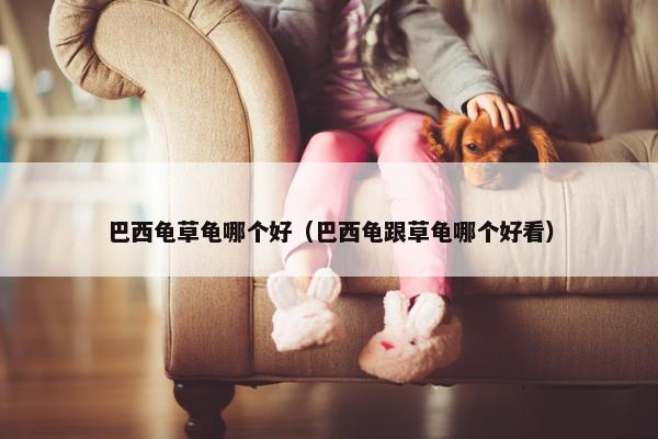 巴西龟草龟哪个好（巴西龟跟草龟哪个好看）