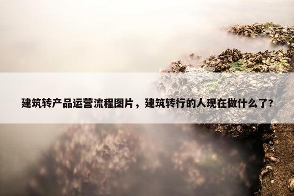 建筑转产品运营流程图片，建筑转行的人现在做什么了?