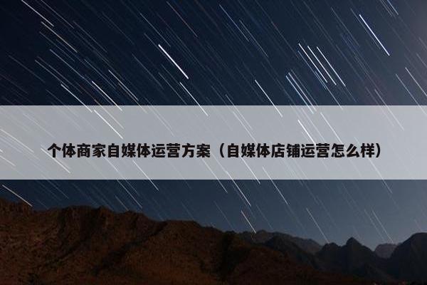 个体商家自媒体运营方案（自媒体店铺运营怎么样）