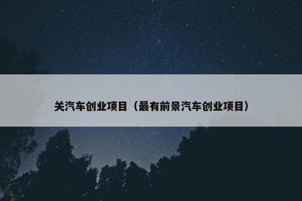 关汽车创业项目（最有前景汽车创业项目）