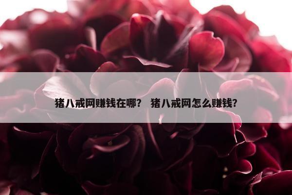 猪八戒网赚钱在哪？ 猪八戒网怎么赚钱？
