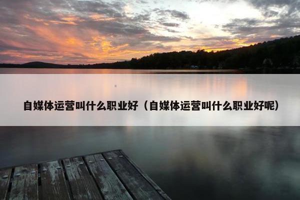 自媒体运营叫什么职业好（自媒体运营叫什么职业好呢）