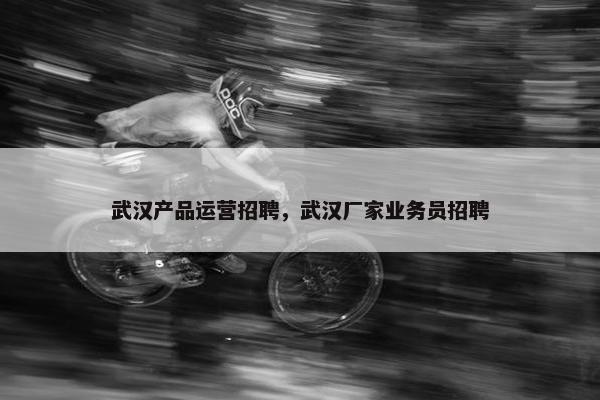 武汉产品运营招聘，武汉厂家业务员招聘
