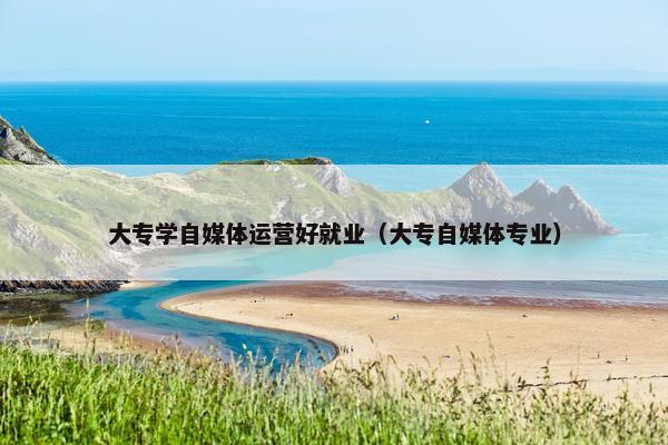 大专学自媒体运营好就业（大专自媒体专业）