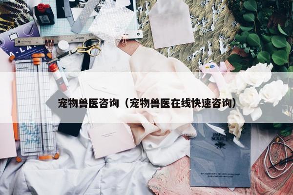 宠物兽医咨询（宠物兽医在线快速咨询）